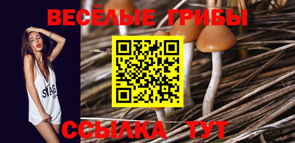 Галлюциногенные грибы Psilocybe  наркотики  Галлюциногенные грибы Psilocybine cubensis  Конаково  Вход с VPN 